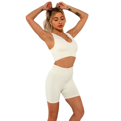 Seamless High-Stretch Sports Bra and Yoga Set